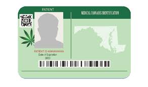 How to get a medical marijuana card. Get Your Medical Cannabis Card Md Delmarva Business Directory Salisbury Business Journal