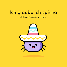 Ich Glaube Ich Spinne Sometimes German Idioms Make A Lot Of Sense And Sometimes You Can T Und German Language Learning German Phrases German Phrases Learning
