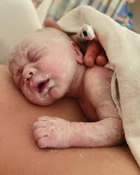 Amanda Echols: Birth Doula Page