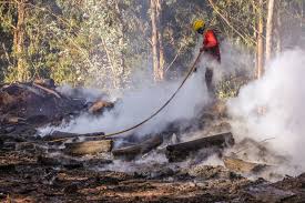 Incêndio de loulé arde «livremente em zona de difícil acesso». Incendios Combate Ao Fogo Iniciado Em Loule Mobiliza 500 Elementos Atualidade Sapo 24