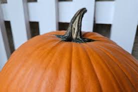 News Now Warsaw 1480 AM & 99.7 FM