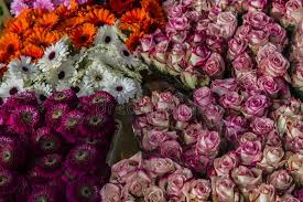 On the platform, there are assortments of sellers from ecuador, holland, kenya, italy and other countries. Full Bouquets Of Cut Flowers On The Market Stock Image Image Of Trade Sales 110870933