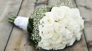 We did not find results for: White Roses Babies Breath Bouquet