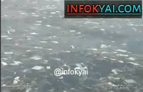 Kebanyakan orang hari ini tidak pernah mendengarnya. Miris Lihat Laut Lampung Banyak Sampah Plastik Berita Viral Hari Ini Lowongan Kerja Hari Ini