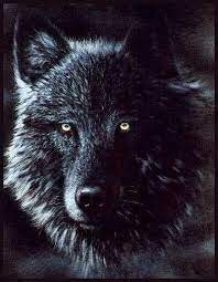 Pin By Ellary Jane Brandenburg On Animals Wild Canine 5 Mexican Wolf Black Wolf Scary Wolf