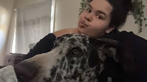 Rehoming a one-year-old Great Dane in Southern Oregon