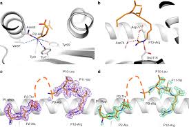 challenging immunodominance of influenza specific cd8 t