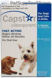 Is capstar dangerous for cats? Pin On For The Home