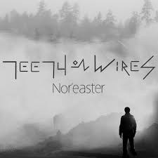 Stream Teeth On Wires (feat. Nicole Miller) by Jeffery Samuels