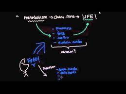 Overview Of Metabolism Anabolism And Catabolism Metabolism Anatomy And Physiology Health Science