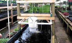 Easy to build hydroponic drip system. Outdoor Hydroponics 9 Tips For Maximum Yields