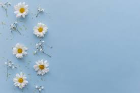 Hd wallpapers and background images. Vista Alta Angulo De Flores Brancas Sobre Azul Fundo Cute Laptop Wallpaper Vintage Desktop Wallpapers Wallpaper Notebook