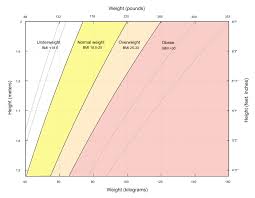 File Bmi Chart Svg Wikimedia Commons