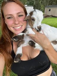 Blueberry lemon goat cheese recipe tips needed