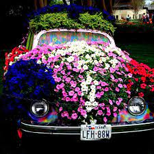 Pin On Gardening