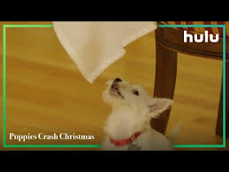 Puppies crash christmas full episodes online. Hulu S Puppies Crash Christmas Video Is The Best Holiday Gift Cnet