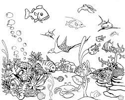 The coloring sheet features a beautiful fish with long tail and fins. Tropical Fish Tank Coloring Page Netart Fish Coloring Page Tropical Fish Tanks Fish Coloring Pages