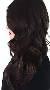 Pure Jet Black Discoveries With Light Brown Highlights On Ends Hairminia Black Hair Balayage Brown Hair With Blonde Highlights Brown Ombre Hair