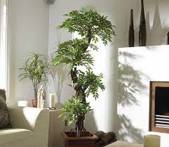 Maybe you would like to learn more about one of these? Pin On Decoracion