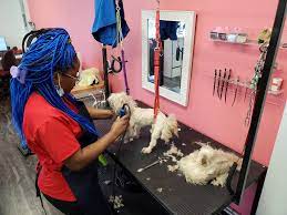 We did not find results for: Puppy Love Grooming Facebook