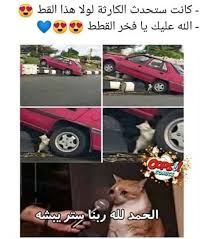 نكت انمي funny photo memes otaku funny anime funny