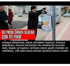 Pin On Duyarli Lik