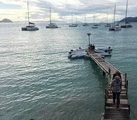 With many patrons and newlyweds. Cane Garden Bay Tortola Aktuelle 2021 Lohnt Es Sich Mit Fotos Tripadvisor