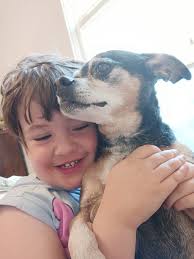 Missing 17-year-old tan chihuahua in Etna, CA