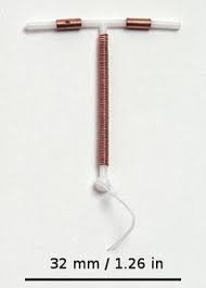 Intrauterine Device Wikipedia