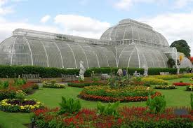 This brief, lucid book by the director of alexandre antonelli is director of science of the royal botanic gardens, kew, where. Kew Science Director Calls For End To Imperialist Perspective On Plant Discovery Horticulture Week