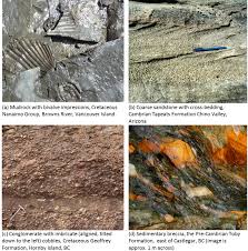 Clastic sedimentary rock can be recognized because the grains touch each other but do not interlock. 6 1 Clastic Sedimentary Rocks Physical Geology