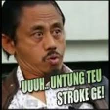 Perang gambar meme bahasa sunda ini banyak yang sering dilakukan karena kelucuan dari gambarnya bahkan dari katanya tersebut. 105 Ide Sunda Gambar Lucu Lucu Semuanya Lucu
