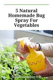 Pin On Pests Diseases On Plants And Garden