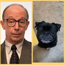 Two dog challenge, guess the name