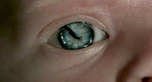 Snake In The Eye Vikings Serpent Yeux