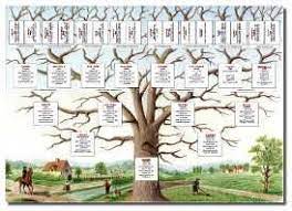 Balthazar picsou naît en 1867 à glasgow de fergus mcpicsou et édith o'drake. 10 Idees De Arbre Genealogique Arbre Genealogique Arbre Genealogique Imprimable Arbre
