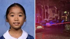 Iron Gates development near Evans Head refused