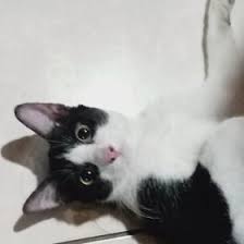 Hasil foto polaroid ini juga unik, karena ada sisa kertas yang tidak terisi gambar di bagian gambar, jadi bisa buat note gitu. Afy Ctr Arfyanactr Profile Pinterest