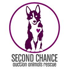 We are dedicated to helping homeless animals and displaced dogs and cats find loving, responsible, safe homes. Scaar Second Chance Rescue London Ontario Home Facebook
