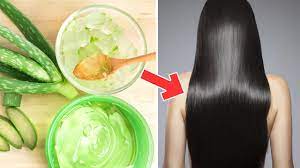 Aloe Vera Ile Sac Bakimi Nasil Yapilir Modern Kadin