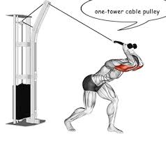 A Beginner S Guide To Cable Pulley Machines Bodybuilding Wizard