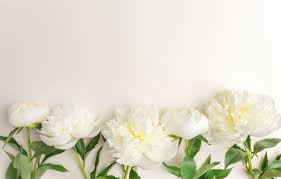 Use this guide to learn flower meanings and select the right symbol of red roses are traditionally given to symbolize love, but aren't the only ones to earn this title. Wallpaper Flowers White White Flowers Beautiful Peonies Peonies Images For Desktop Section Cvety Download