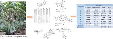 Image result for Carvalhoa campanulata