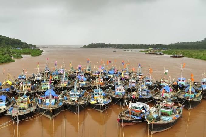 Sea snakes along Konkan coast imperilled by bycatch, lack of enforcement of fishery regulations