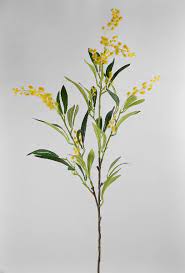 40 Yellow Mimosa Blossom Branch Artificial 7 Each 6 For 6 Each Watercolor Flowers Floral Watercolor Botanical Drawings