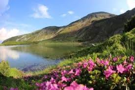 Bradul alb, paltinul și plopul de lacu roșu este un lac de baraj natural format în anul 1837, situat lângă cheile bicazului la poalele hășmașului mare, aproape de orașul gheorgheni. Cele Mai Frumoase Lacuri Din Romania Zburatorul Com