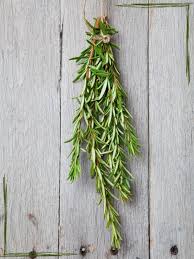 See full list on wikihow.com How To Harvest Rosemary Without Killing The Plant Together Time Family