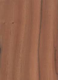 Quebracho The Wood Database Lumber Identification Hardwoods Hardwood Wood Wood Species