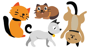 Female cartoon character cat names. Cartoon Cat Names Which Ones Do You Like The Sound Of