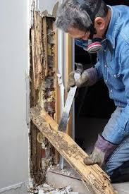 This Level Of Damage Will Certainly Require Professional Intervention Of Repair Termite Damage Services Near Termite Damage Termite Treatment Drywood Termites